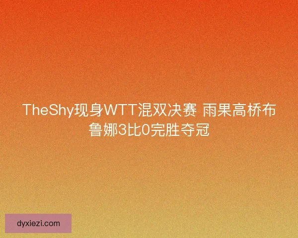 TheShy现身WTT混双决赛 雨果高桥布鲁娜3比0完胜夺冠